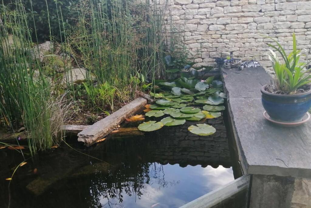 Appartamento La jolie parenthèse Saint-Sauveur-d'Aunis Esterno foto