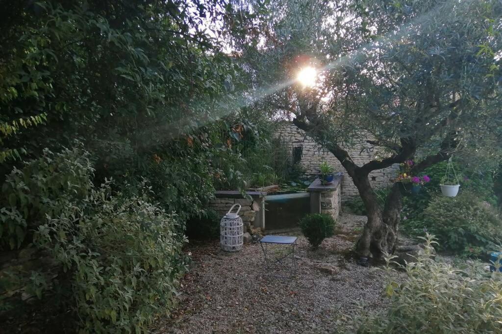 Appartamento La jolie parenthèse Saint-Sauveur-d'Aunis Esterno foto